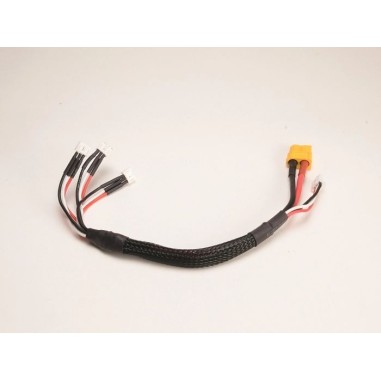 PN Racing Câble de charge XT60 vers 3x JST-PH