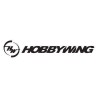 Hobbywing